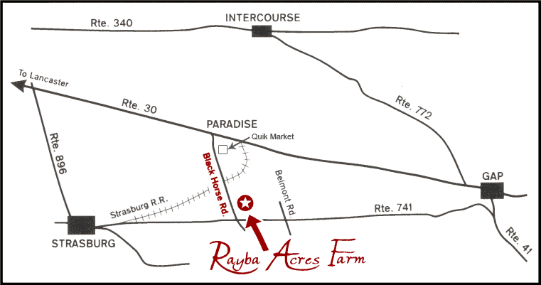 Map to Rayba Acres